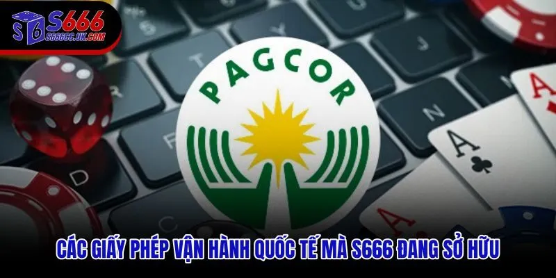 Giấy phép S666 từ các tổ chức quốc tế và phạm vi giám sát pháp lý