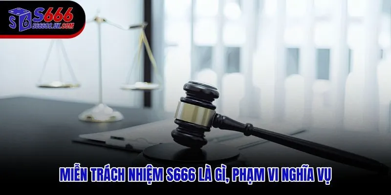 Chính sách miễn trách nhiệm S666 và giới hạn nghĩa vụ dịch vụ trực tuyến